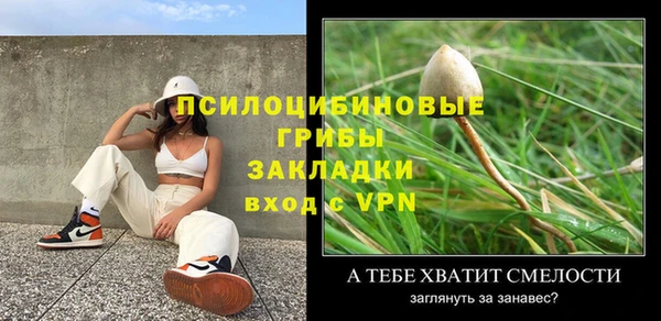 дурь Алексин