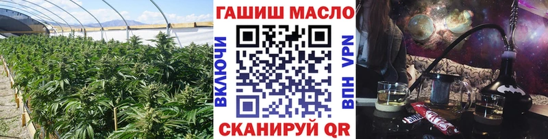 мега ТОР купить сайты Лермонтов ТГК THC oil