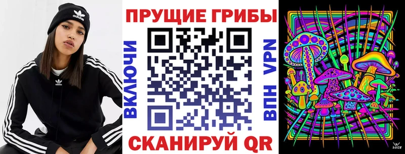omg ССЫЛКА Лермонтов Псилоцибиновые грибы Cubensis